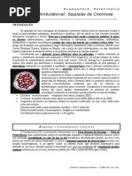 (Apostila) ACUPUNTURA. Protocolo para Cinomose PDF