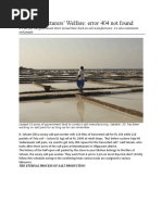 Marakkanam Salt Pans - Investigative Report