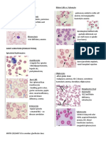 RBC Morphology and Inclusions