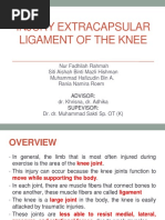 Injury Extracapsular Ligament of The Knee