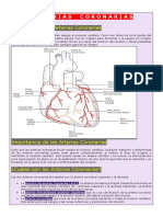 Las Arterias Coronarias