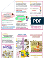 Triptico Cambios Durante El Embarazo y Signos de Alarma