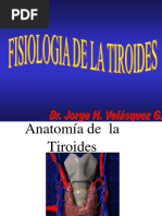 Fisiología de La Glandula Tiroides