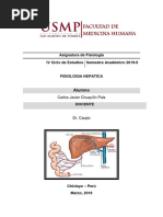 Fisiologia Higado