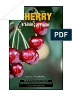 Cherry Training Guide PDF