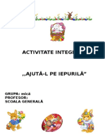 Proiect Activitate Integrata