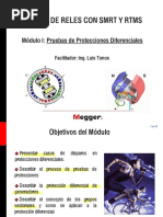 Seminario Proteccion Diferencial San Salvador PDF