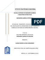 Estudio Del Transporte, Colocación y Reflujo Del Apuntalante en Operaciones de Fracturamiento Hidráulico en Pozos de Hidrocarbur