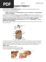 SISTEMA DIGESTÓRIO I e II Luz