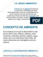 Monografia Medio Ambiente en