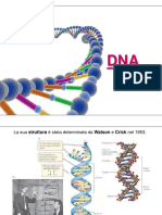 1 - Dna PDF