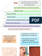 Difteria DX TX PVC CC