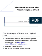 The Meninges and The Cerebrospinal Fluid: Bagian Anatomi Fkik-Uin Alauddin Makassar