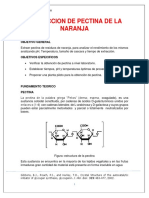 Informe Extraccion de Pectina de La Naranja