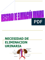 5.-.-Necesidad de Eliminacion Urinaria