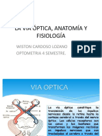 Via Optica