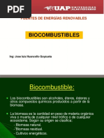 Biocombustibles PDF