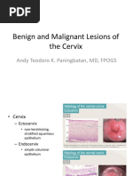 1 Benign and Malignant Lesions of The Cervix