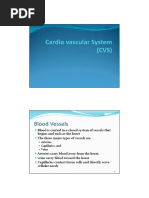 CVS Final 4 (Blood Vessels)