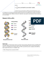 Bio 1H Genetics Test Addendum 2017