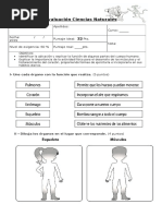 Evaluación Cuerpo Humano 2° Básico