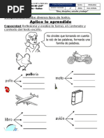 Familia de Palabras