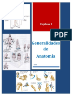 Generalidades Anatomía