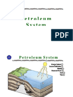 07 Petroleum System