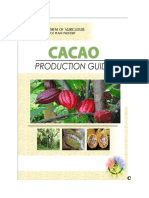 Cacao Production Guide