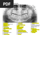 Landmarks in Panoramic Radiography