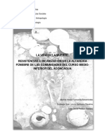 La Vida en La Muerte Resistencias e Inca PDF