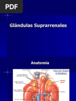 Glándulas