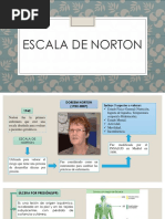 Escala de Norton