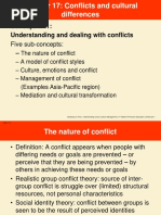 Chapter 17 Conflict and Cultural Different