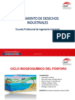 Ciclo Biogeoquimico Del Fosforo