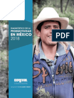 Diagnóstico Productividad 2018 PDF