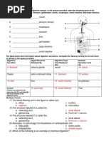 Digestive Urinary System Review Answers