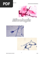 Guia de Micologia 2014 para Revissar