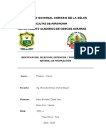 Informe 2 Platano. Final