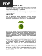 Normas Iso 14001 Clase 10