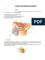 Bioquímica Del Semen