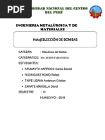 Seleccion de Bombas Informe