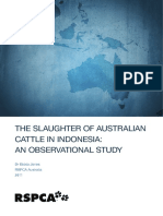 Slaughtering Australia