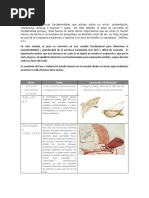 Historia Del PESO Y BALANCE