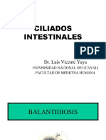 Ciliados Intestinales