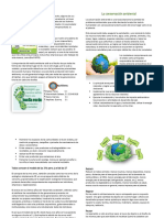 La Conservación Ambiental y Su Relacion Con Las 5Rs