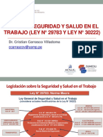 Ley 29783 Seguridad y Salud en El Trabajo