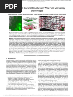 Visualization PDF