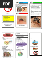 Leaflat Dengue Fever Group 1