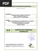 2.2 Capitolato Speciale D'appalto Gasdotti 3 Specie PDF